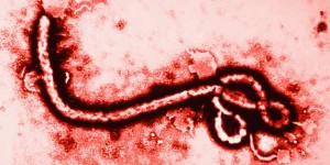 Estados Unidos es dueño de la patente del Ébola